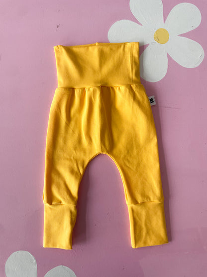 Panta camaleonte giallo