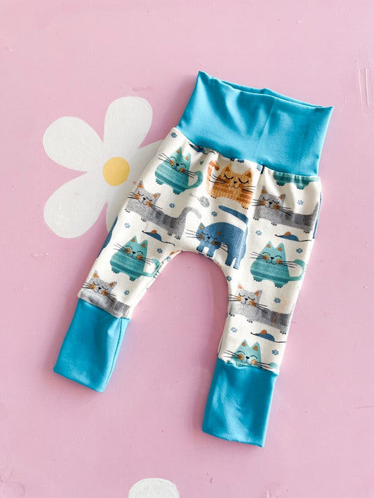 Panta camaleonte gattini